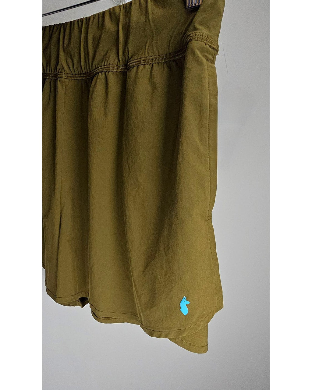 Cotopaxi Brinco Shorts