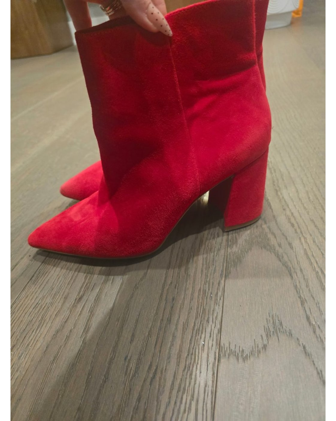 ANTONIO MELANI Shahn Pointed-Toe Ankle Booties